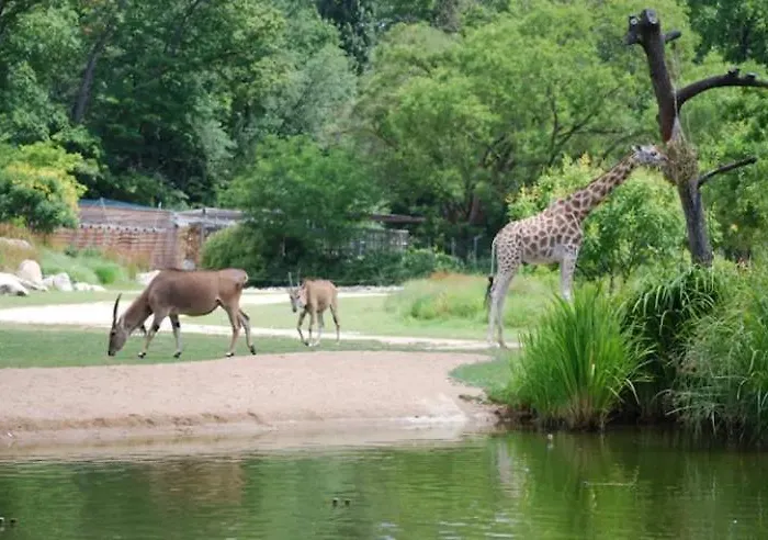 Chic & Elegance Centre *