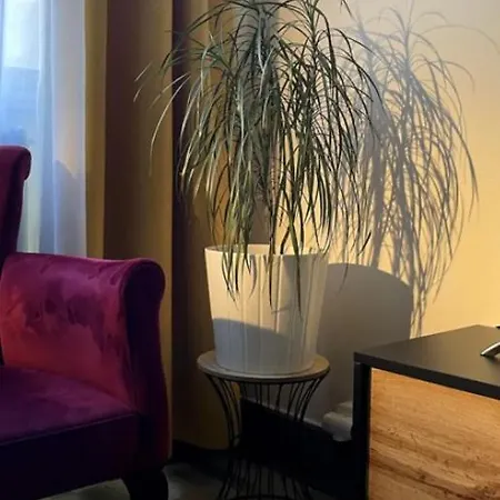 Апартаменты Chic & Elegance Centre Лион